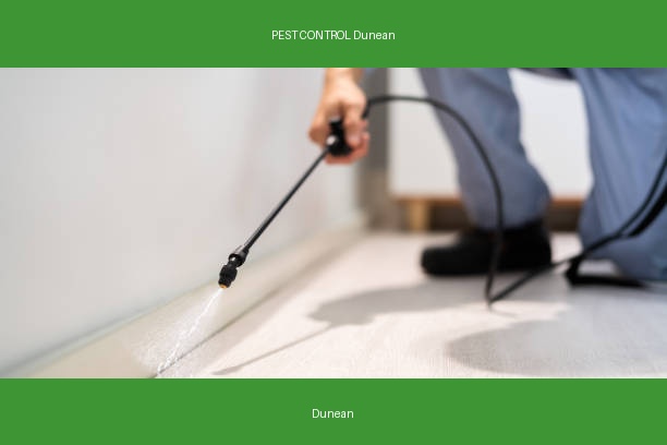 PEST CONTROL Dunean